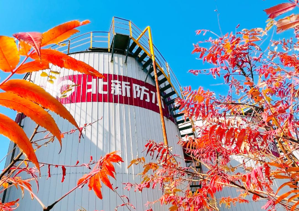 北新建材怎么样(北新建材主营产品)