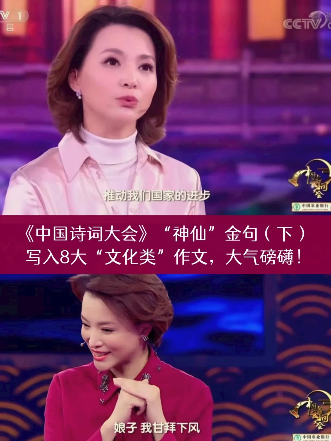 中国怎么啦(中国怎么啦阿猫阿狗任意欺负) 中国怎么啦(中国怎么啦阿猫阿狗任意欺负)