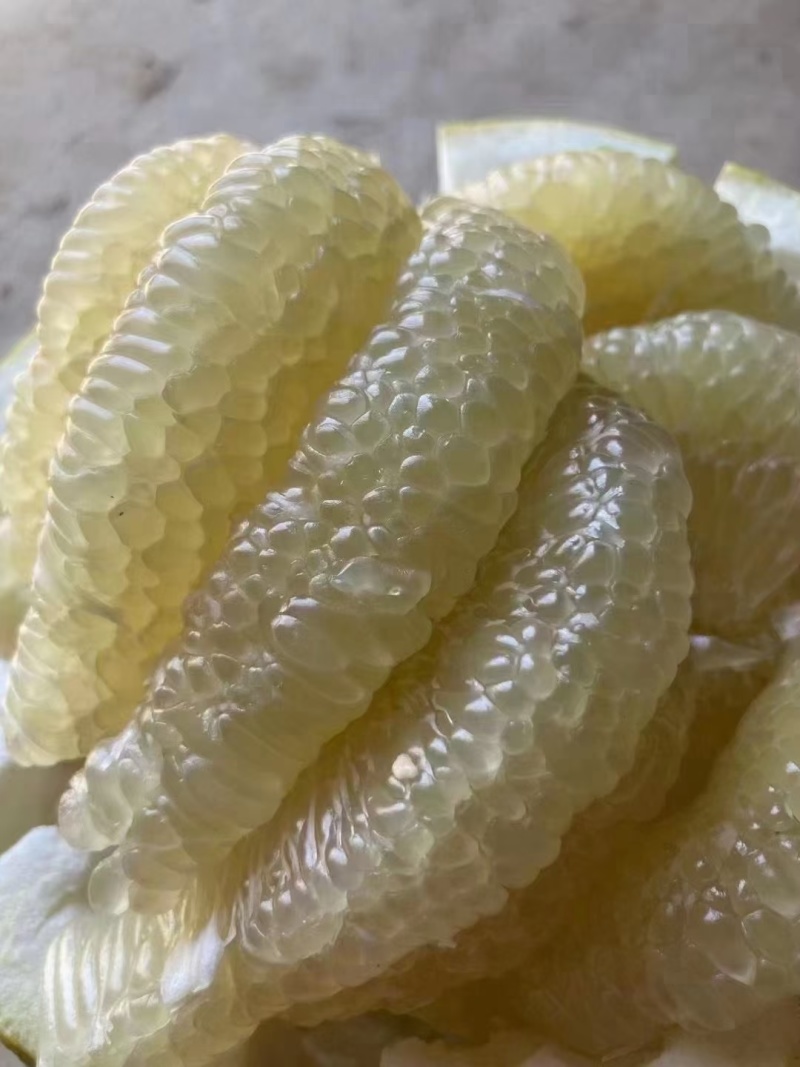 柚子今日行情(柚子今日实时行情)