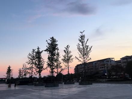 成发怎么样(成发怎么样薪酬待遇)