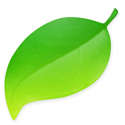 mxcapp的简单介绍 mxcapp的简单介绍