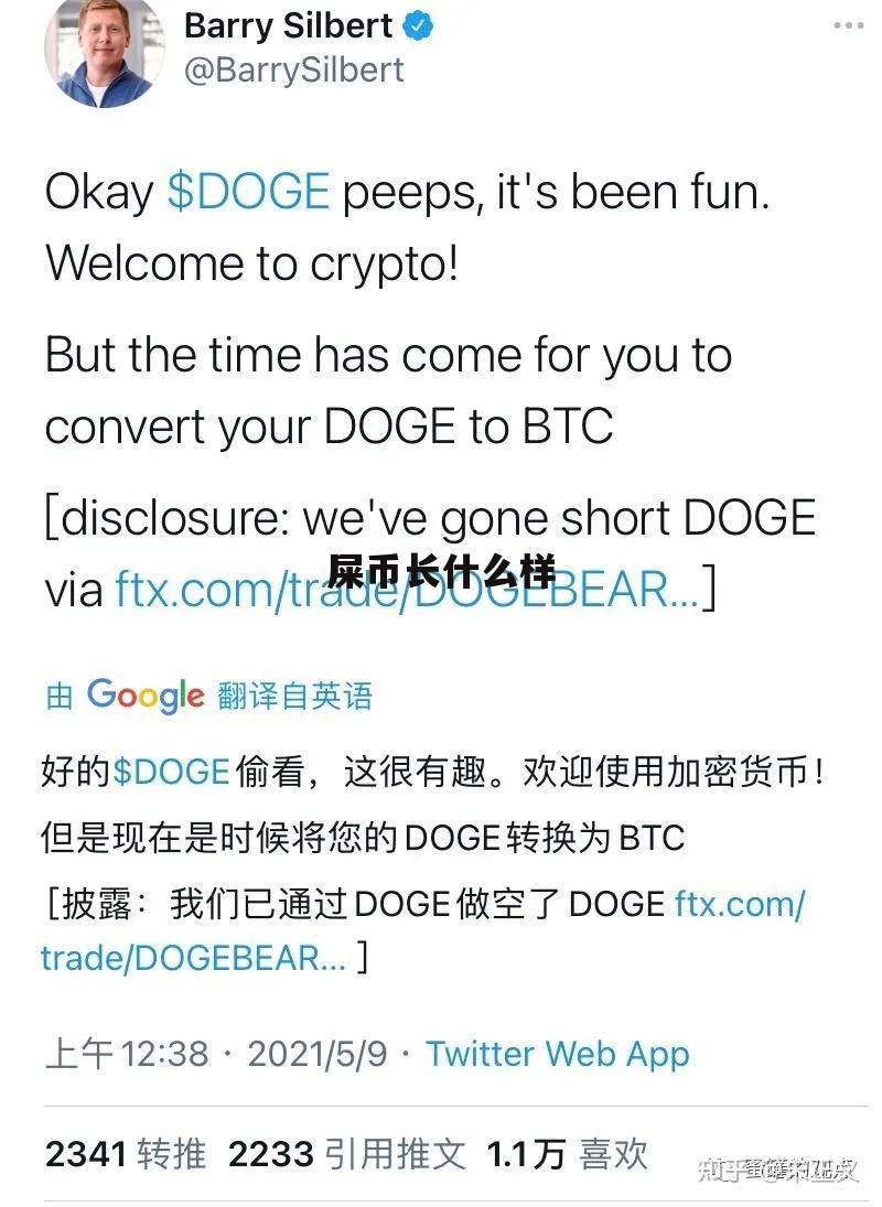 屎币交易平台(屎币交易今日价格人民币)