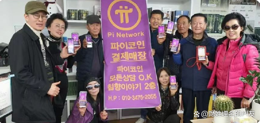 派币(派币2025年官方最新消息) 派币(派币2025年官方最新消息)