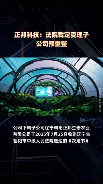 正邦科技怎么样(正邦科技公司怎么样)