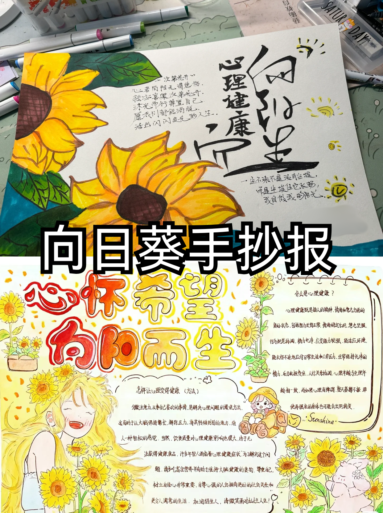 怎么样的葵花(葵花是什么颜色的呢)