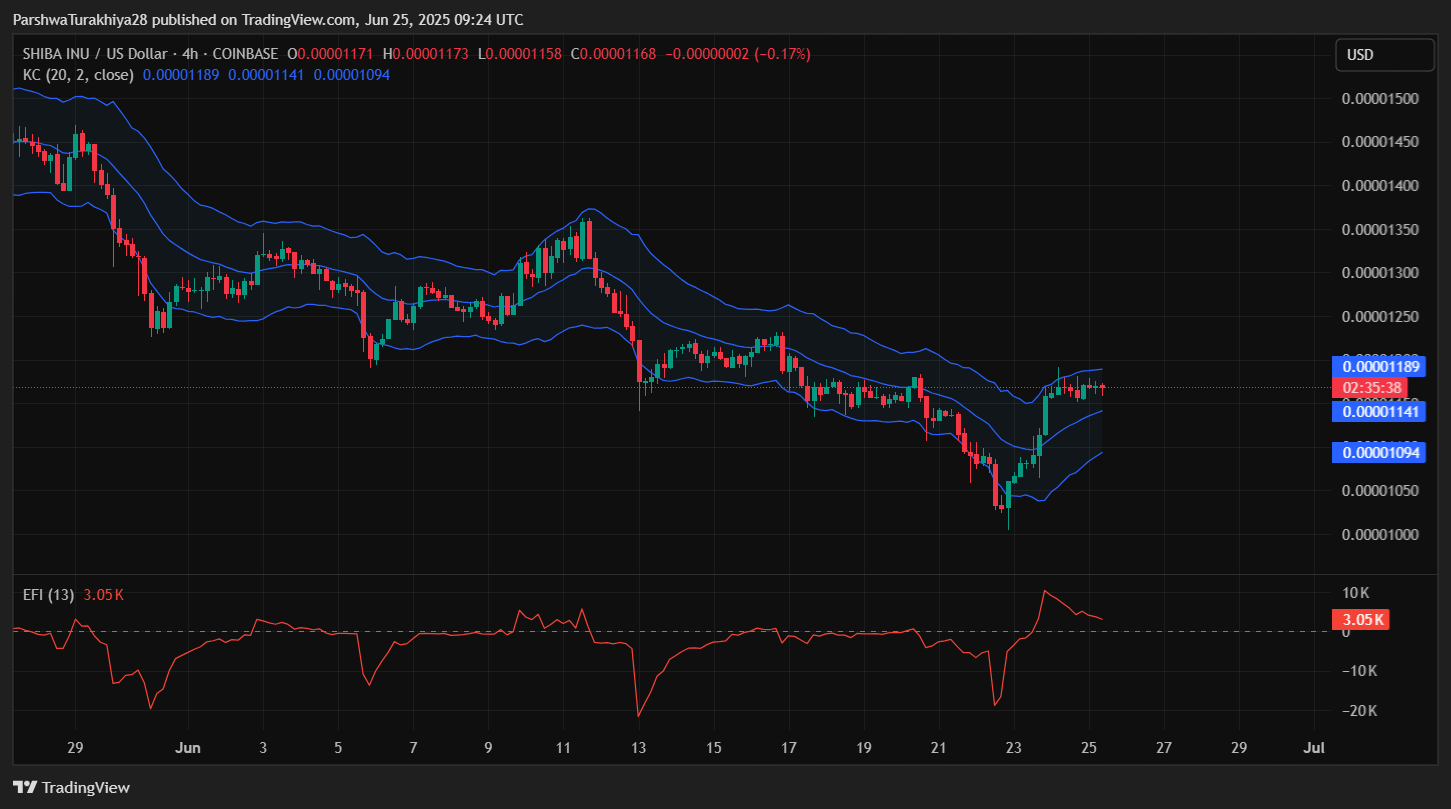 shib币价格(SHIB币价格比2022年涨了多少)