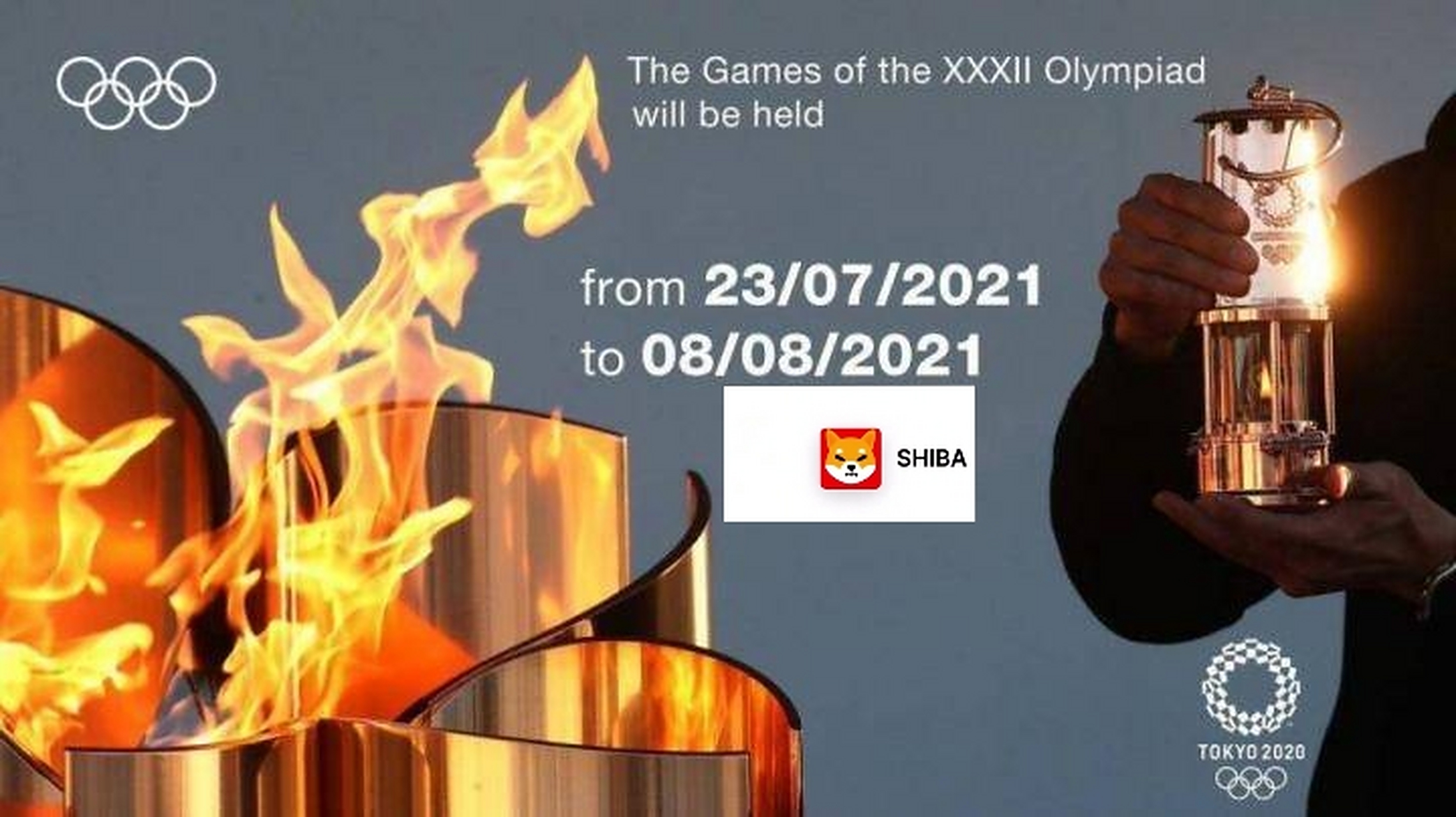 屎币今日(屎币今日价格行情走势)