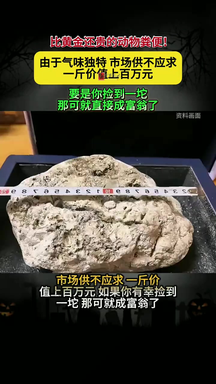 屎币(屎币最低价格多少钱一个)