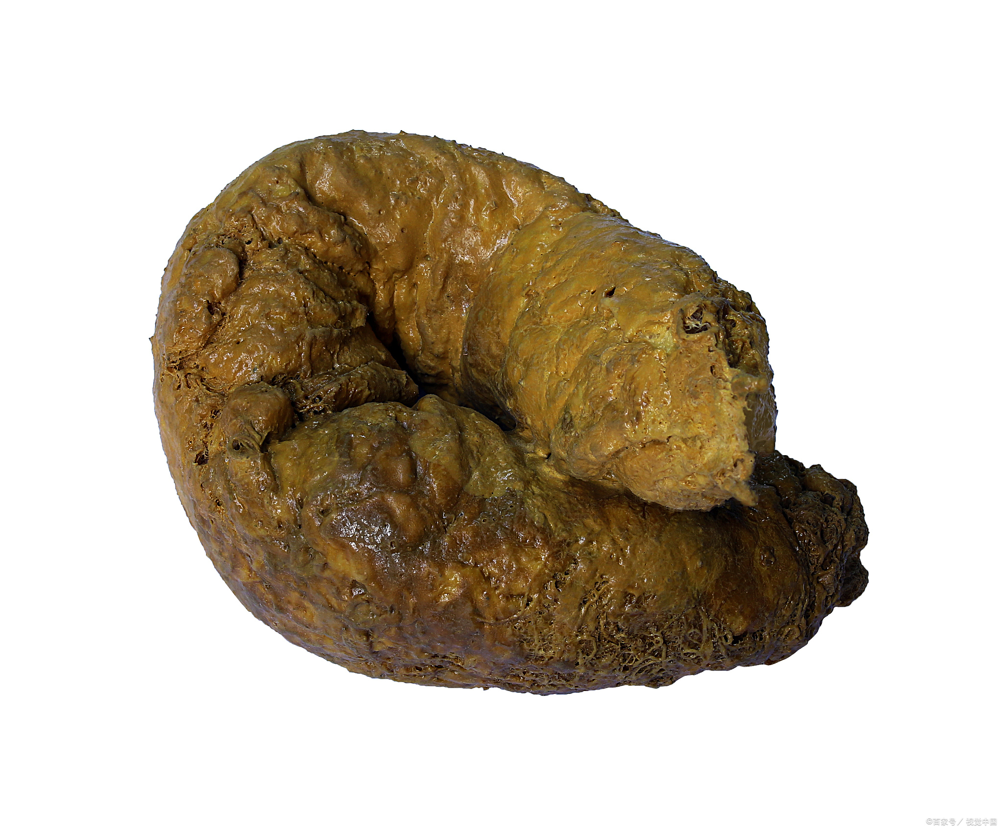 屎币(屎币最低价格多少钱一个)