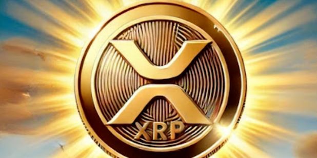 xrp地址(XRP地址标签哪里获得)