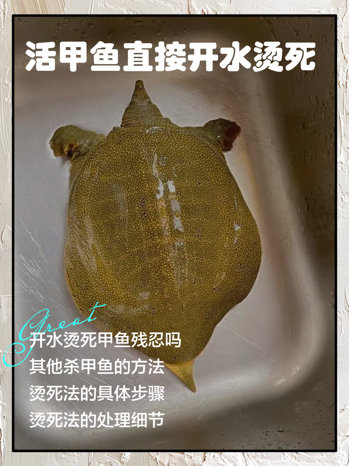 水鱼怎么杀(甲鱼怎么烧才好吃)