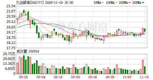 久远银海怎么样(久远银海有限公司)