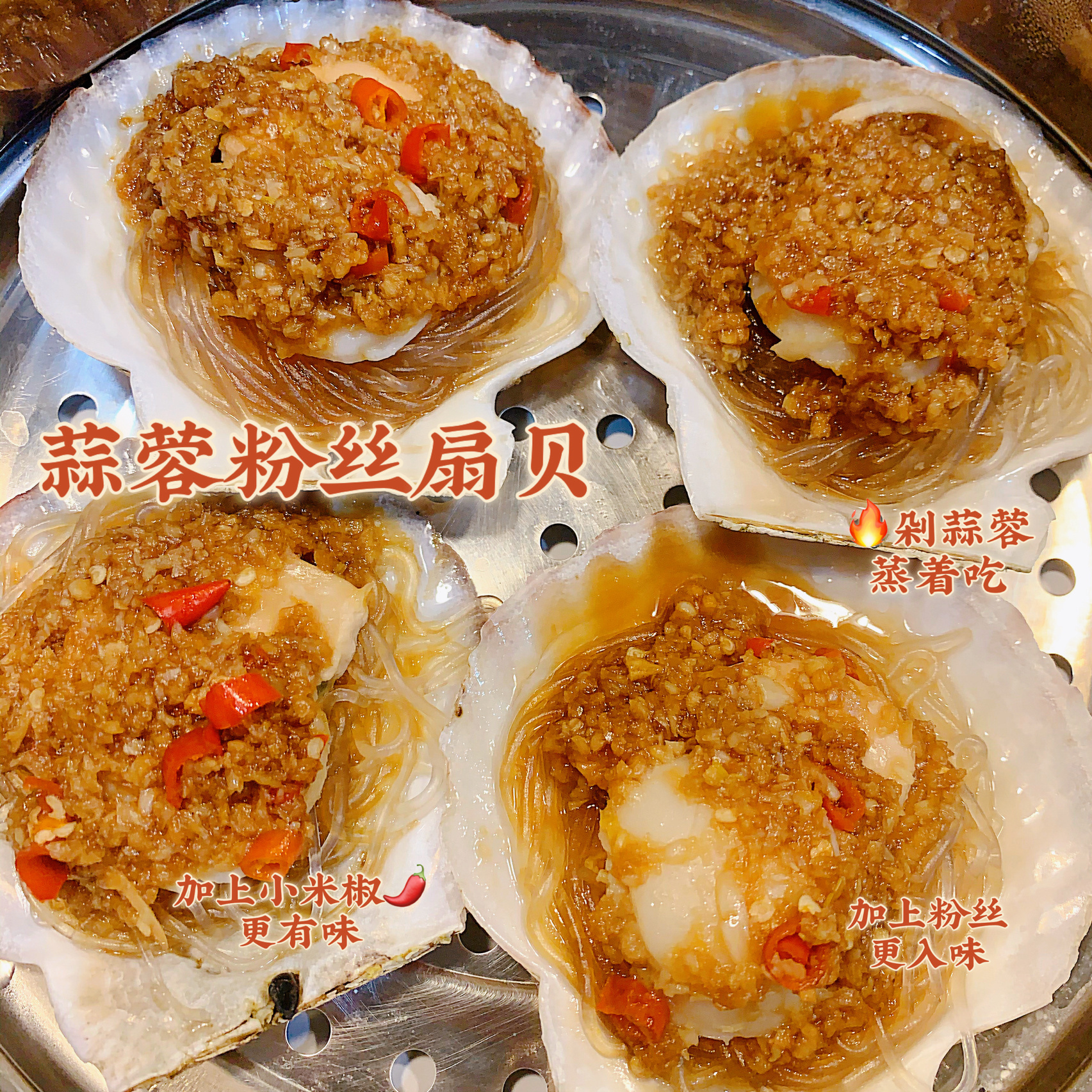 怎么开扇贝(扇贝怎么开壳) 怎么开扇贝(扇贝怎么开壳)