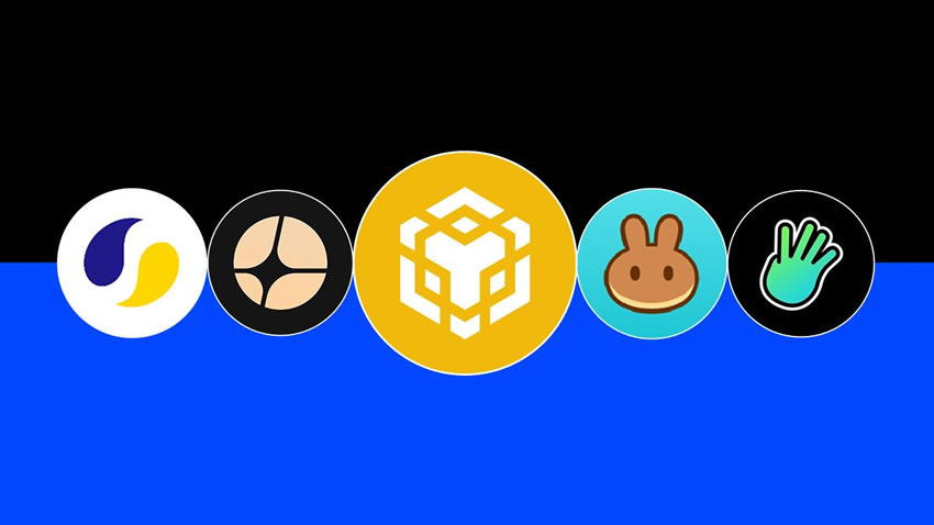 bnb是什么币(做区块链一年能赚多少) bnb是什么币(做区块链一年能赚多少)